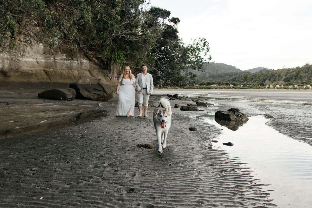 Engagement-photoshoot-including-dogs