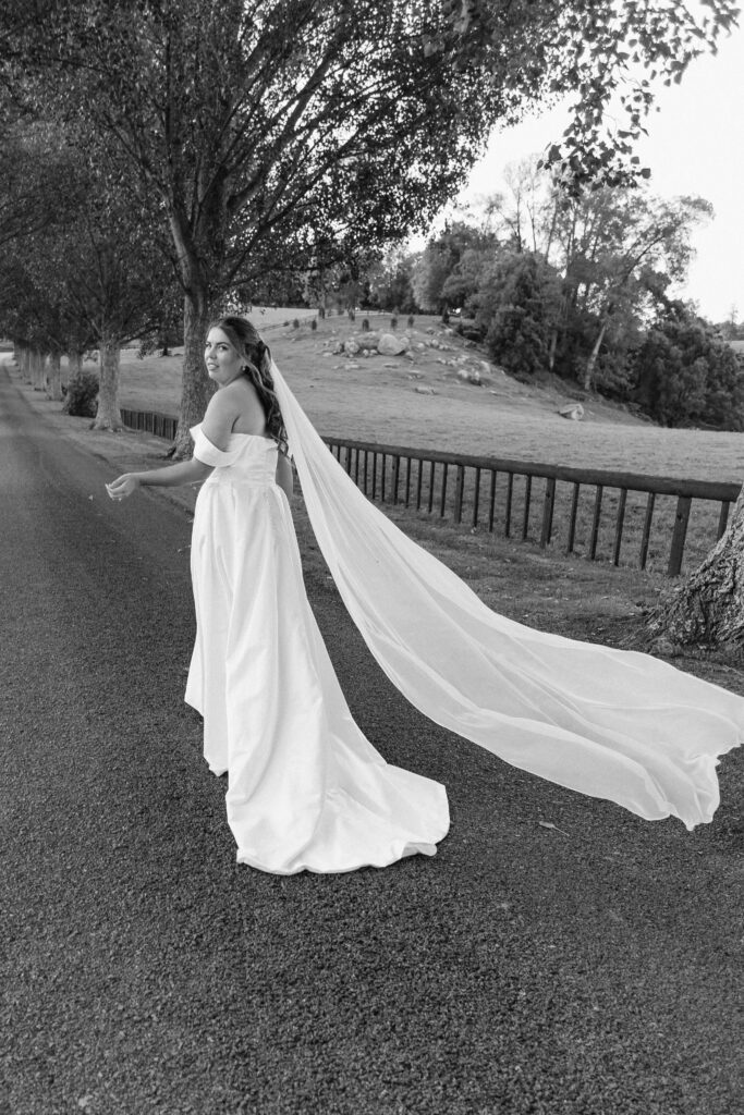 Bride and groom walking hand in hand down the tree-lined driveway at The Red Barn Karapiro