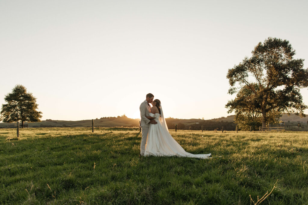 Golden hour portraits of bride and groom in paddocks at The Red Barn Karapiro
