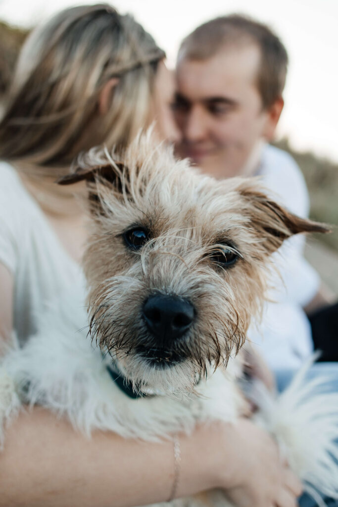 photoshoot with pets