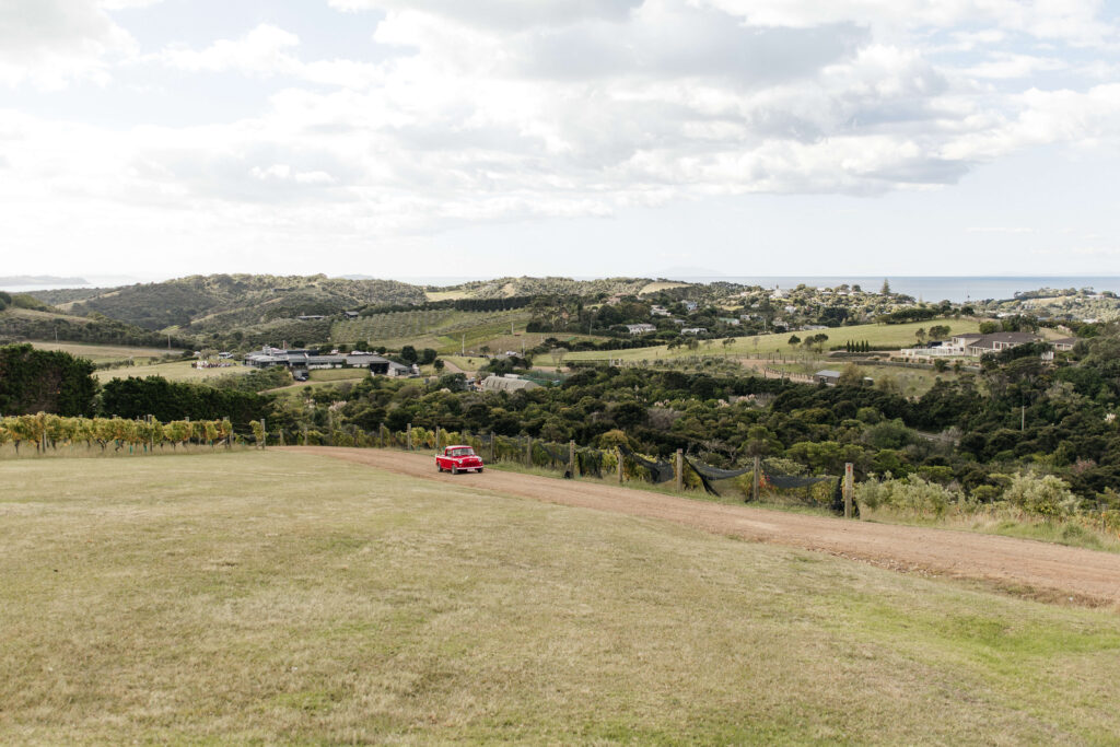 Bride's arrival for a wedding at Mudbrick