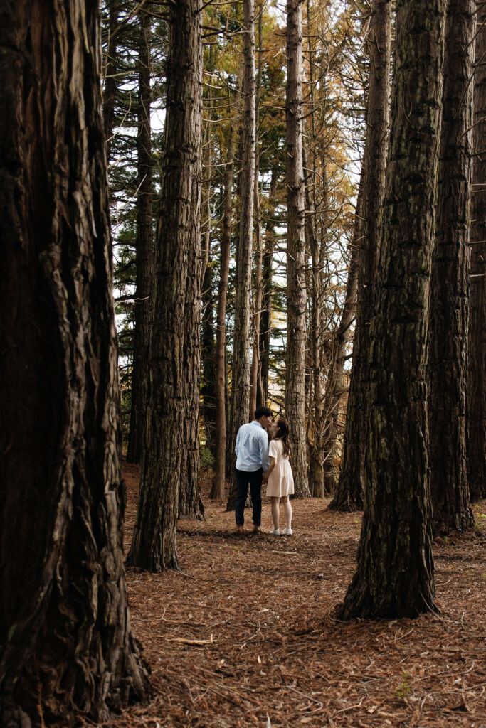 Couple portraits among autumn colours at Ayrlies Garden Clevedon
