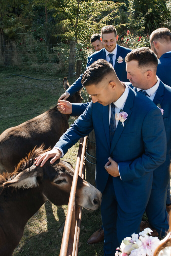 Bridal party celebrating with donkeys during Old Forest School wedding photos.